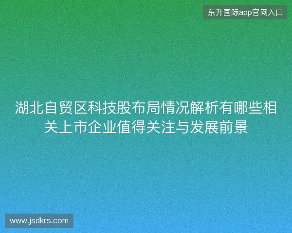 湖北自贸区科技股布局情况解析有哪些相关上市企业值得关注与发展前景